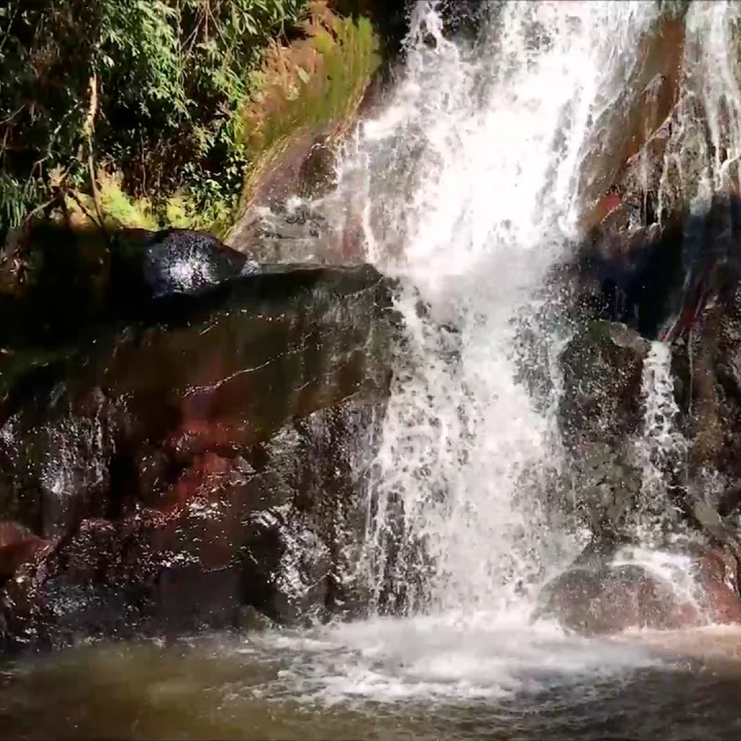 Imagem 2